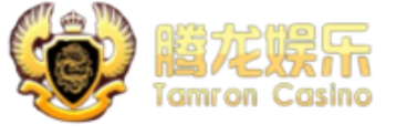 腾龙公司客服经理